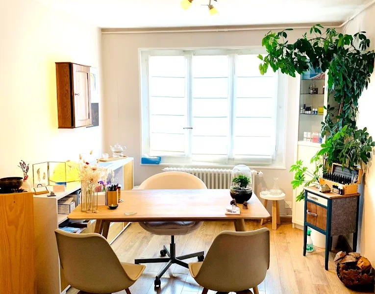 Espace d'entretien du cabinet de Lausanne, plantes et lumière douce